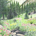 Mountain Stream