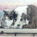Best Friends Furever